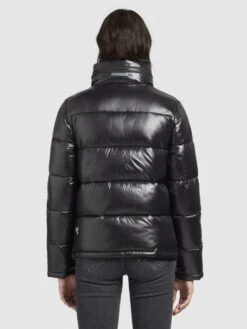 Khujo Talvitakki 'Blondie'