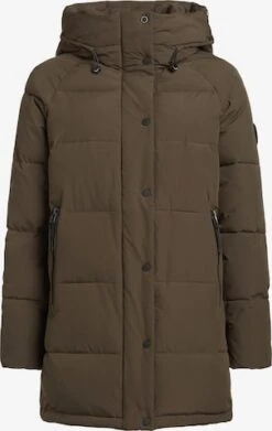 Khujo Talvitakki 'Dorasi'