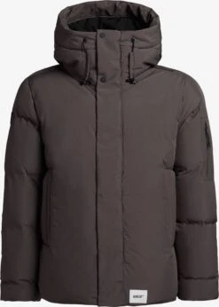 Khujo Talvitakki 'CANN'