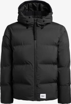 Khujo Talvitakki 'Rodney'