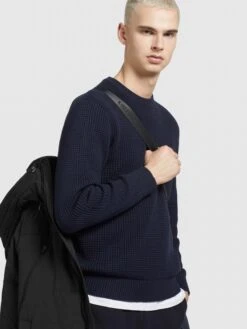 Khujo Talvitakki 'Cloyd'